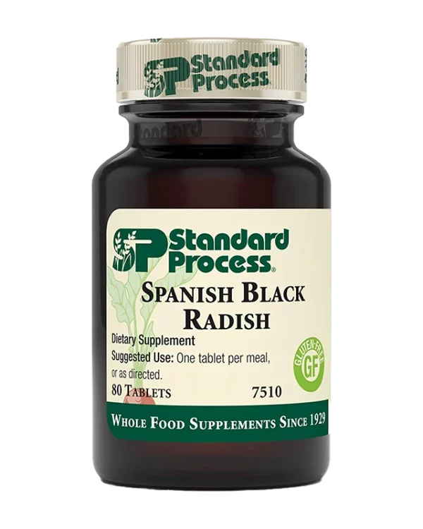 Spanish Black Radish