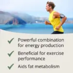 L-Carnitine supplement benefits – energy production, exercise performance, fat metabolism. Close-up of L-Carnitine vegetable capsule – Synergistic Europe