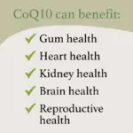 CoQ10 benefits for heart, brain, and kidney health, CoQ10 supplement suitable for vegetarians active form