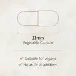 23mm vegan vegetable capsule suitable for vegans with no artificial additives. Close-up of L-Carnitine vegetable capsule – Synergistic Europe