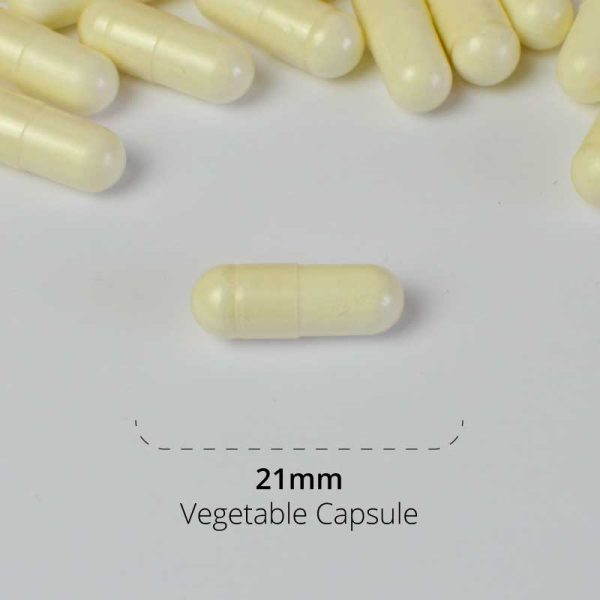 1010-AlphaLipoic1-packshot-600x600 High-quality vegetable capsules measuring 21mm, designed for nutritional supplements by Synergistics Europe, manufactured in the USA. Ideal for supporting specific metabolic types as per the HealthExcel System of Metabolic Typing®.