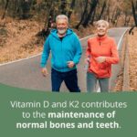 Happy older couple walking on a scenic path, promoting a healthy lifestyle supported by high-quality supplements like Vitamin D and K2 for maintaining normal bones and teeth. Synergistics Europe offers tailored nutritional solutions based on individual metabolic types.