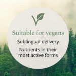 Infographic highlighting features of Synergistics Europe supplements, including suitability for vegans, sublingual delivery method, and nutrients in their most active forms, set against a natural background.