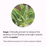 MegaMag® PeriMeno Tablets sage